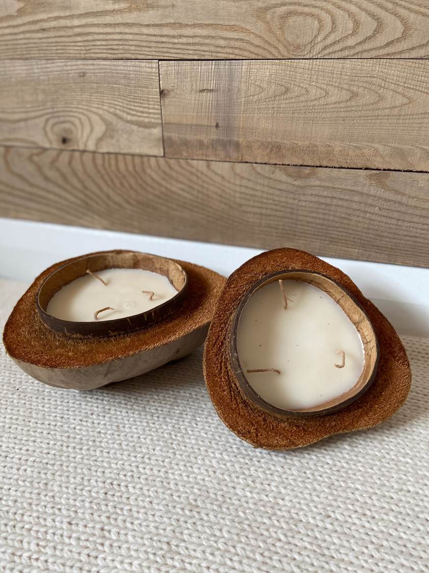 3 Wick Scented Candle in a Coconut