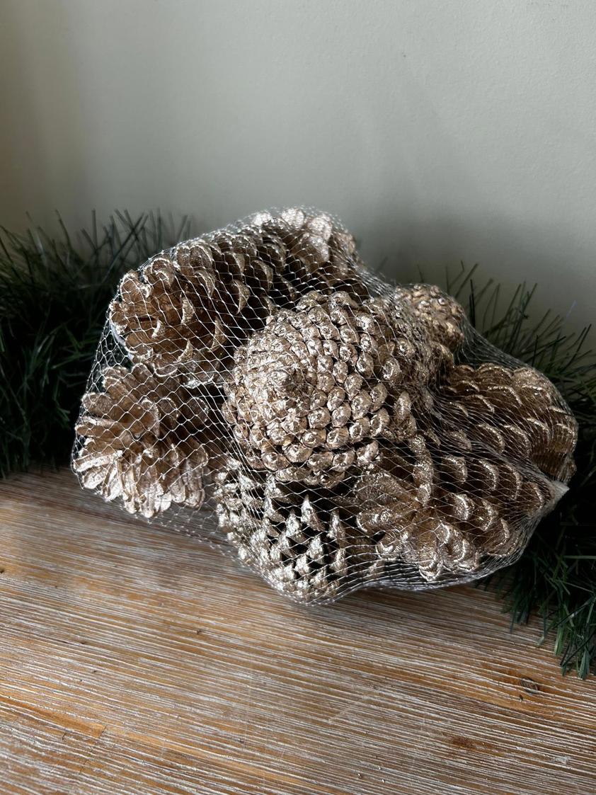 Champagne Pinecones