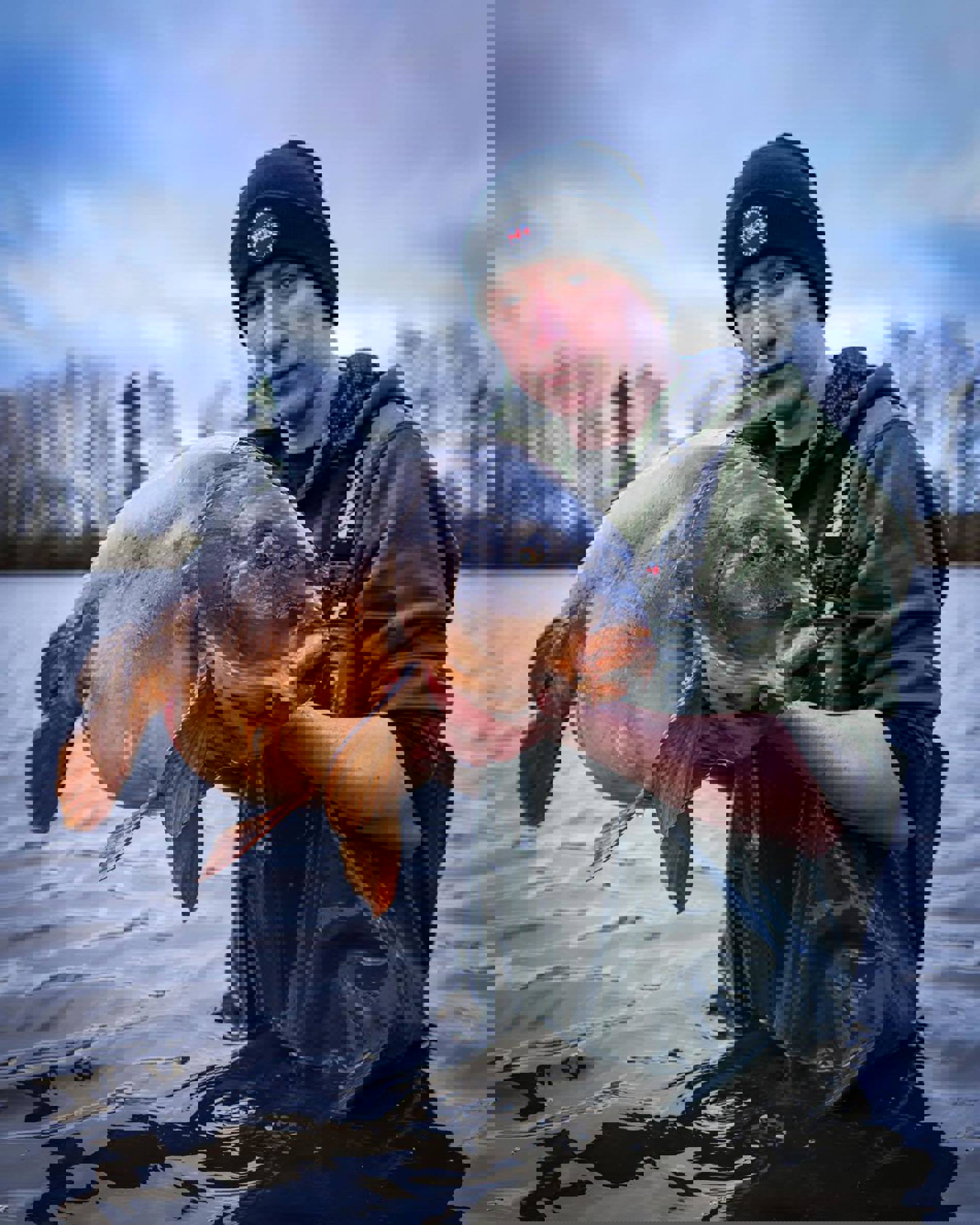 Saledock.Ecommerce.Core.Models.ImageDTO