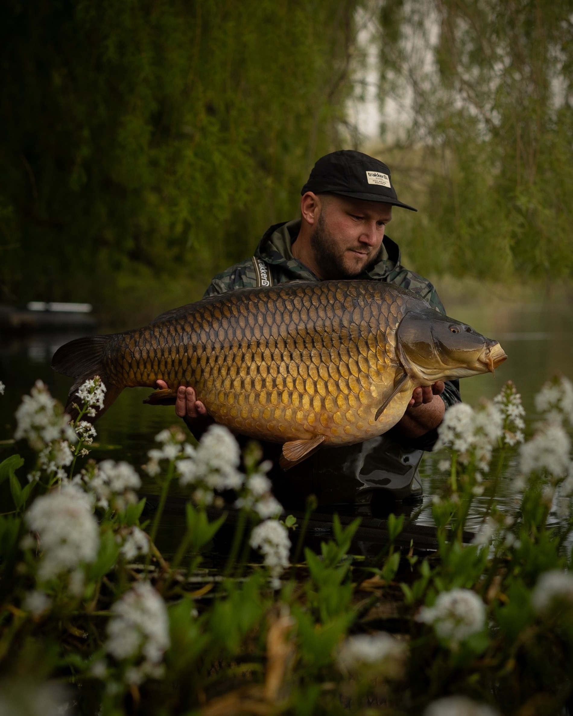 Saledock.Ecommerce.Core.Models.ImageDTO