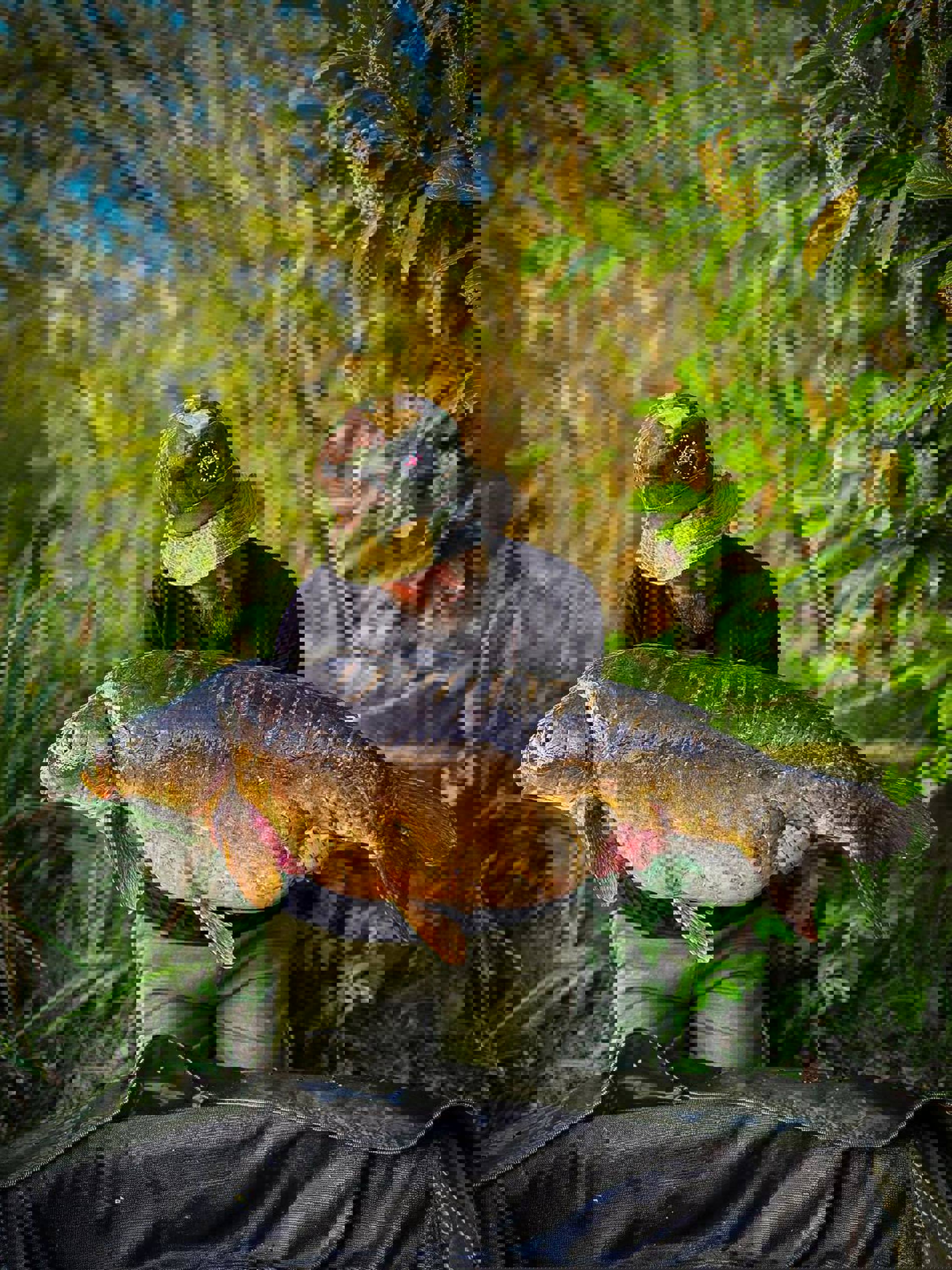 Saledock.Ecommerce.Core.Models.ImageDTO