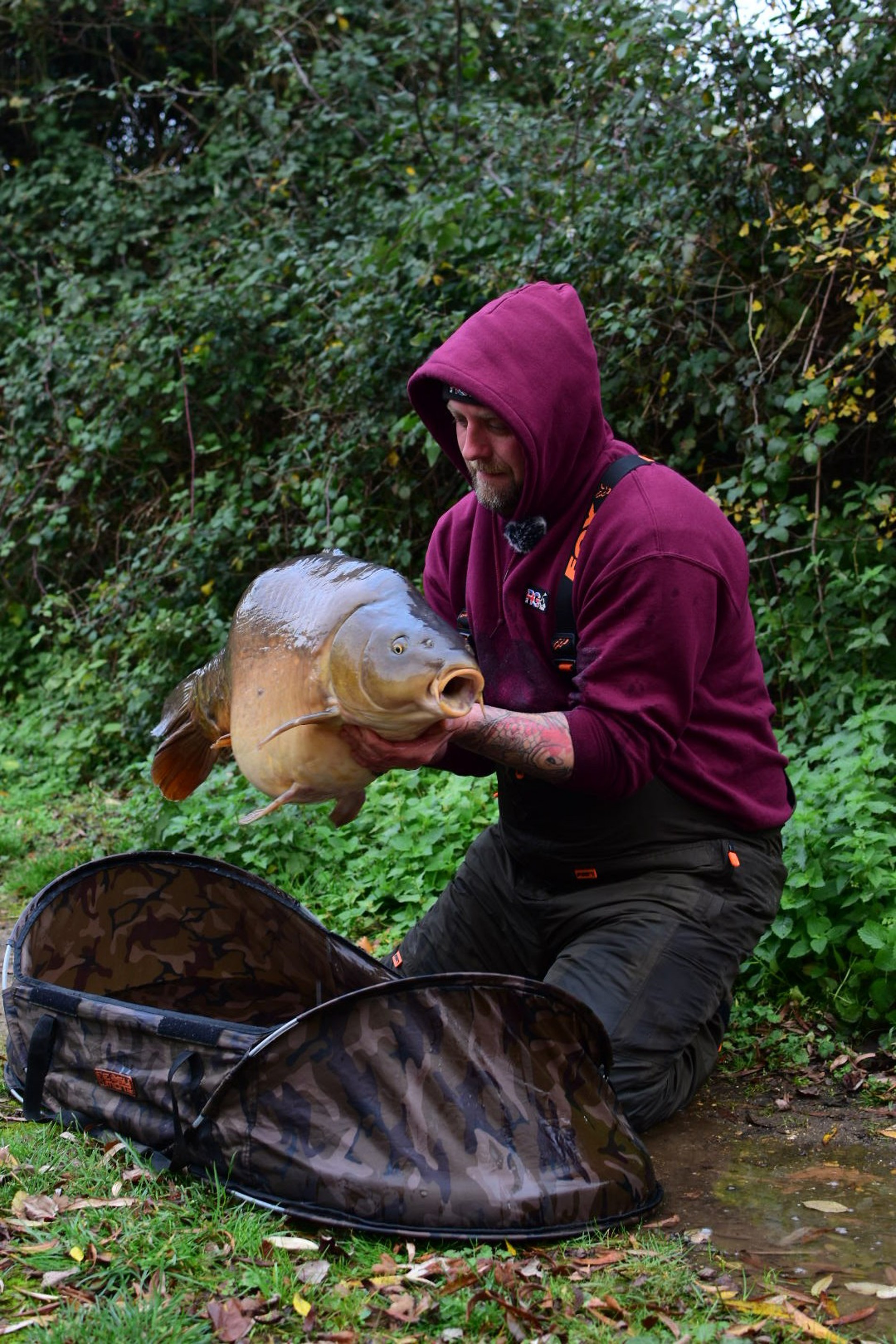 Saledock.Ecommerce.Core.Models.ImageDTO