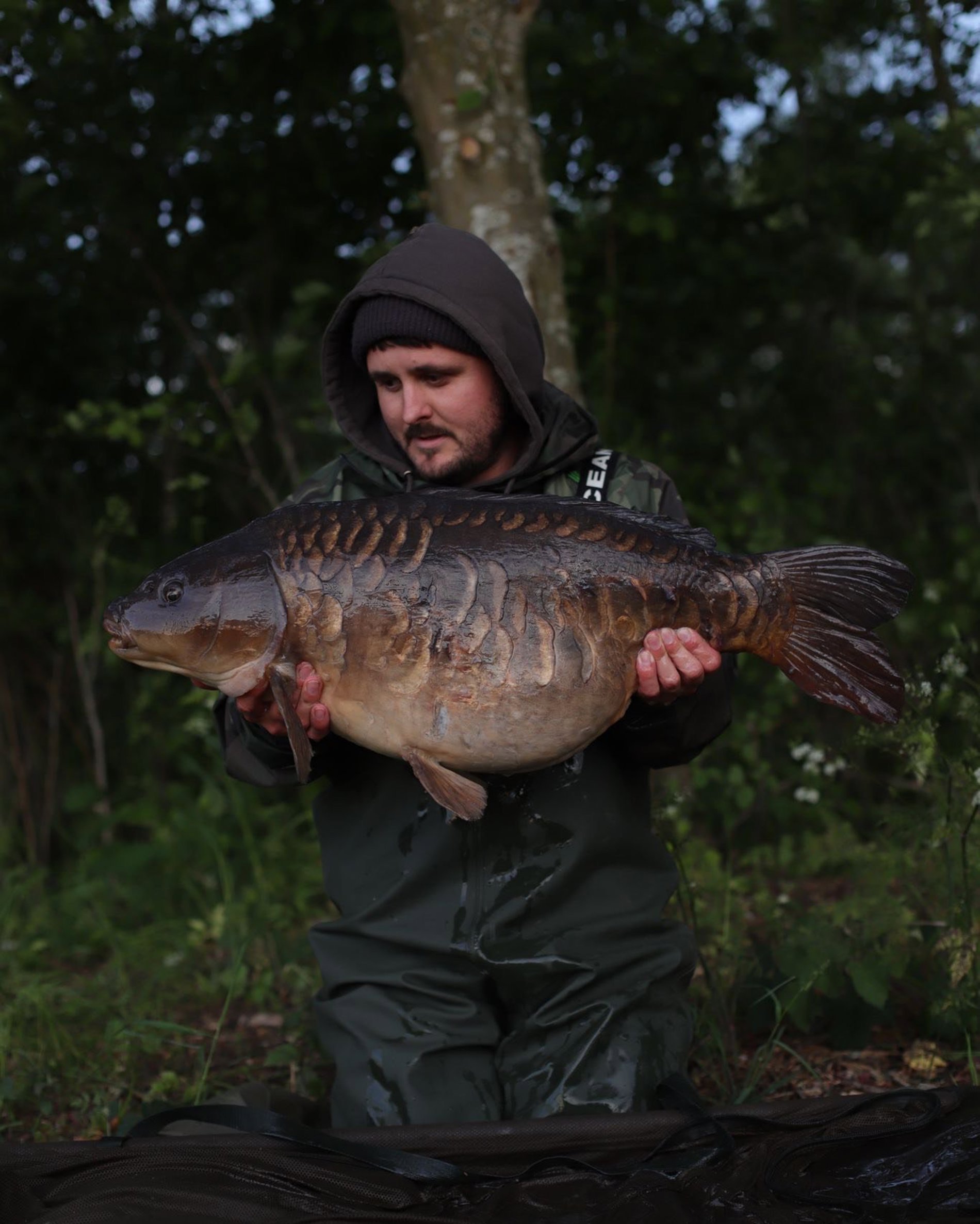 Saledock.Ecommerce.Core.Models.ImageDTO