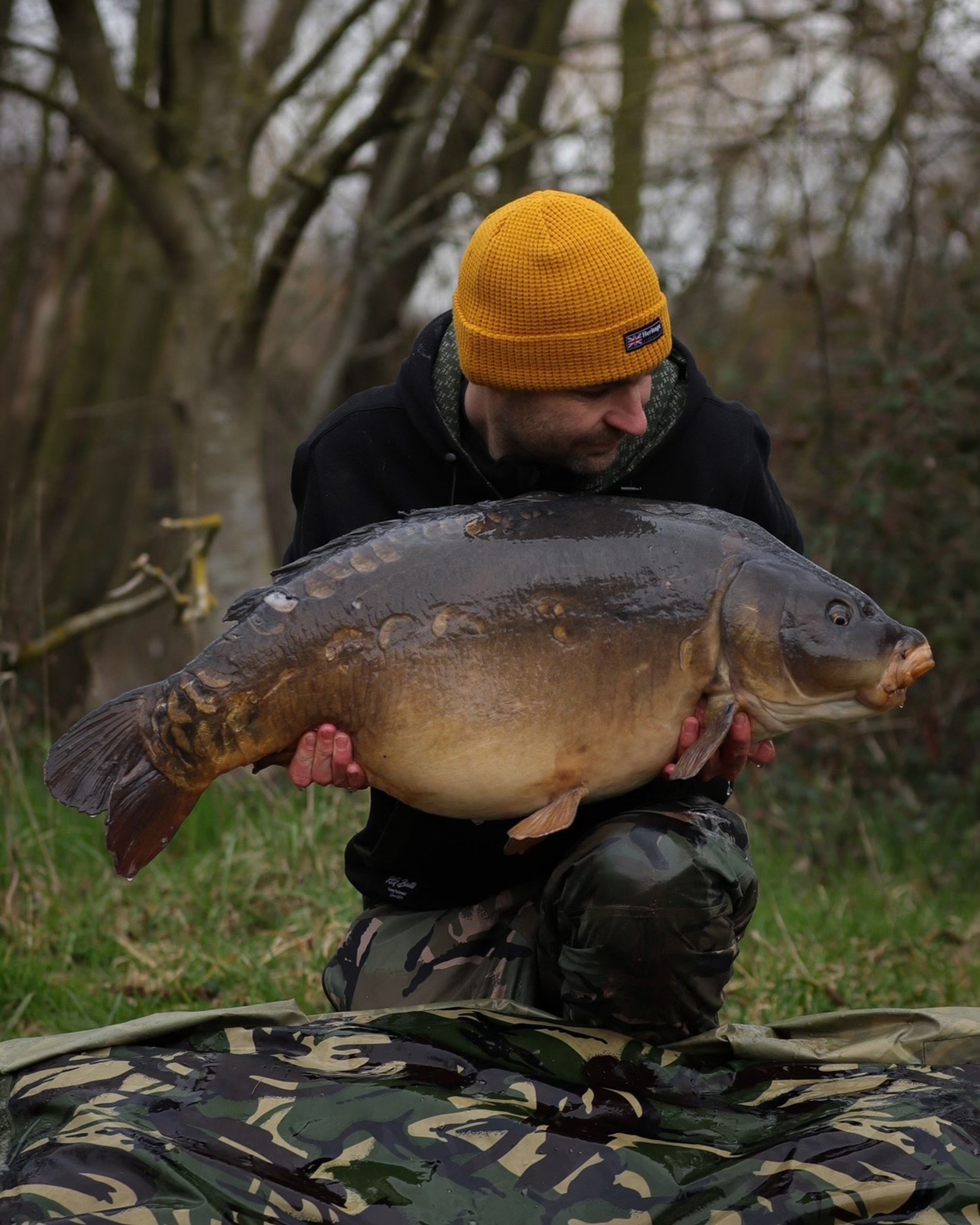 Saledock.Ecommerce.Core.Models.ImageDTO