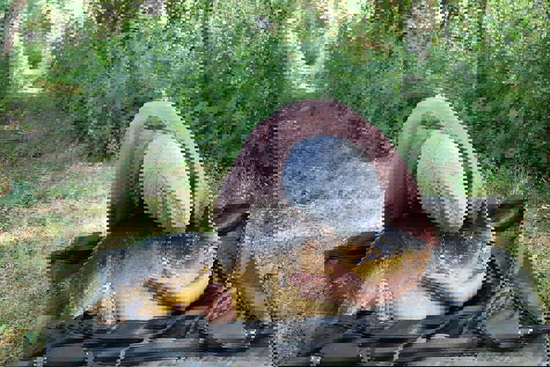 Saledock.Ecommerce.Core.Models.ImageDTO