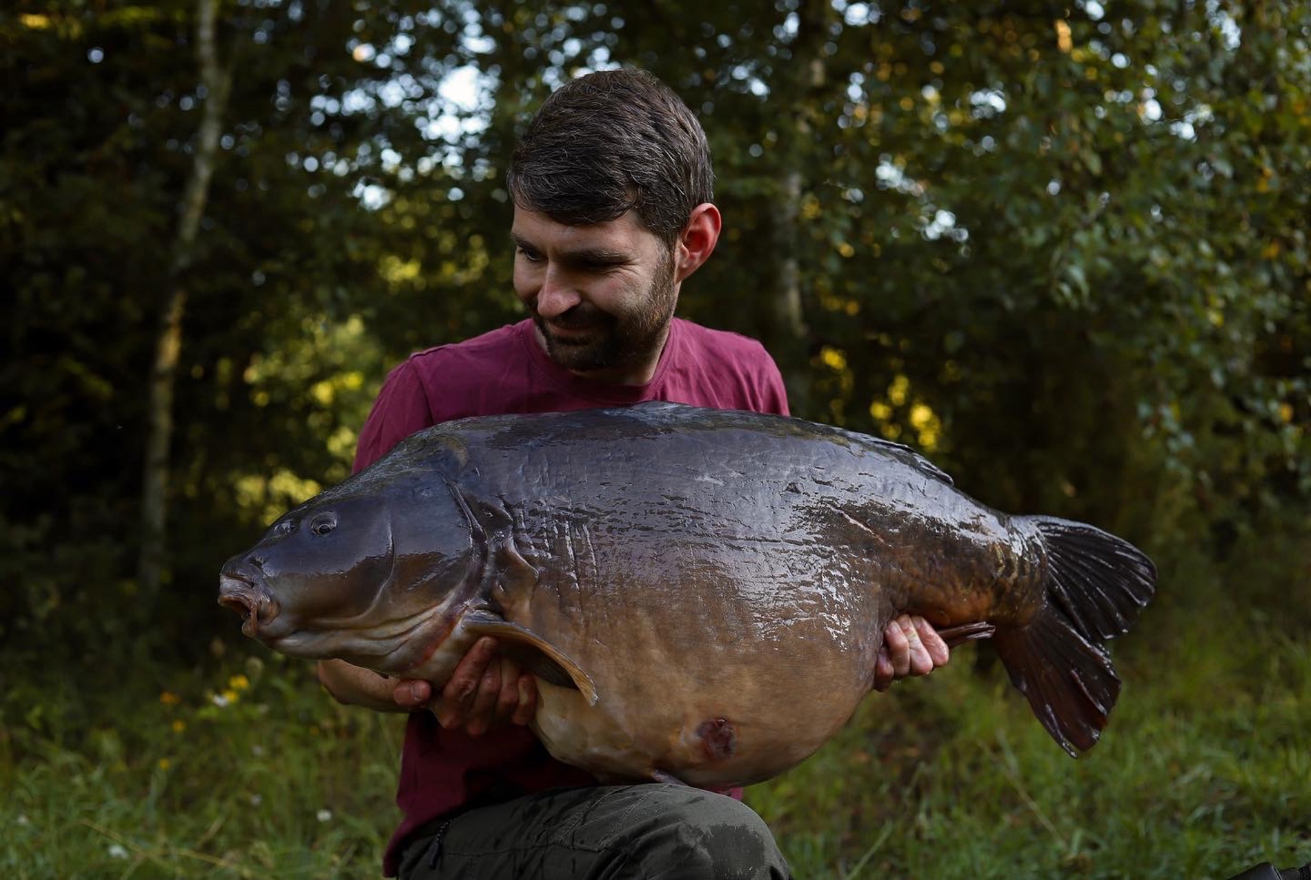 Saledock.Ecommerce.Core.Models.ImageDTO