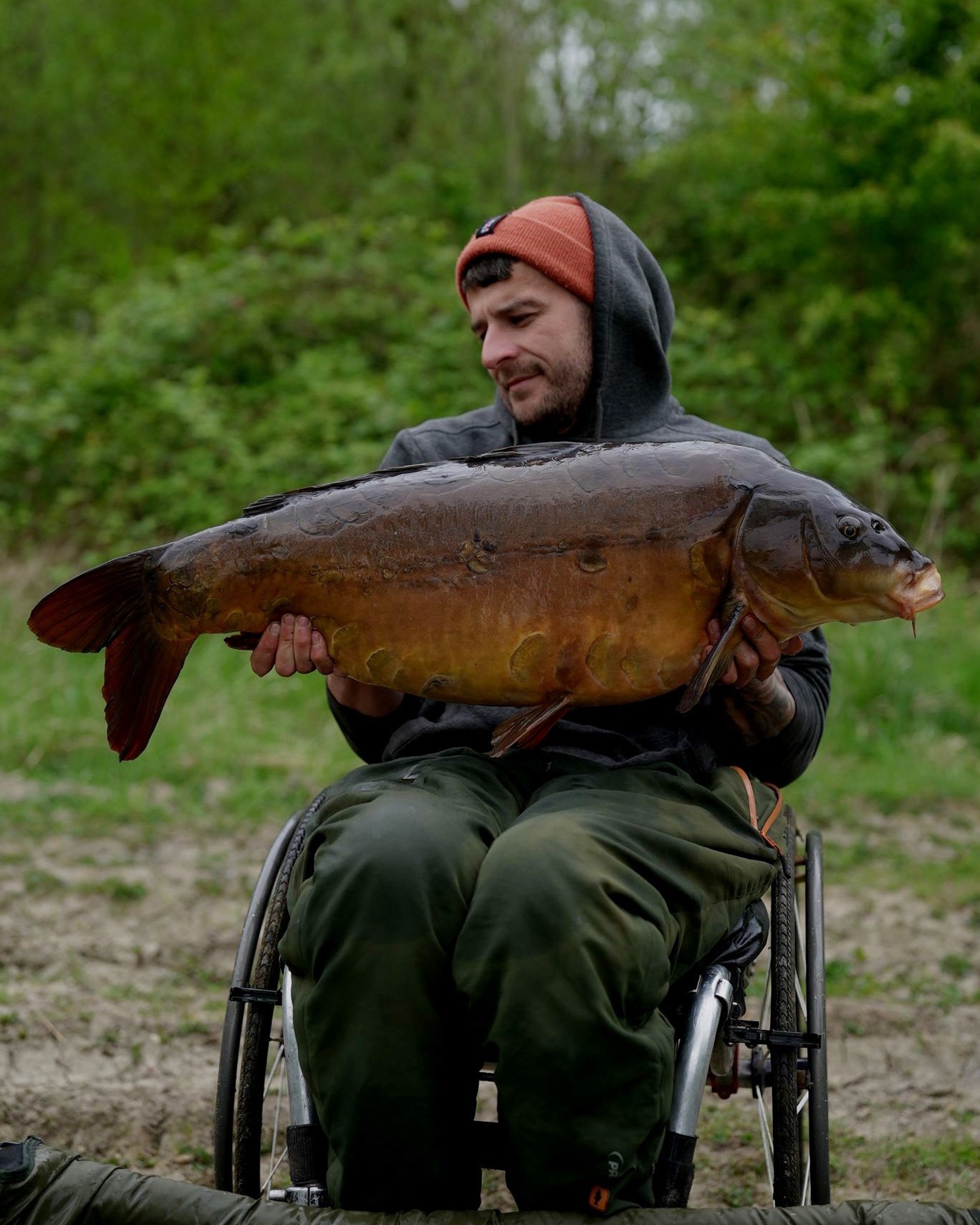 Saledock.Ecommerce.Core.Models.ImageDTO