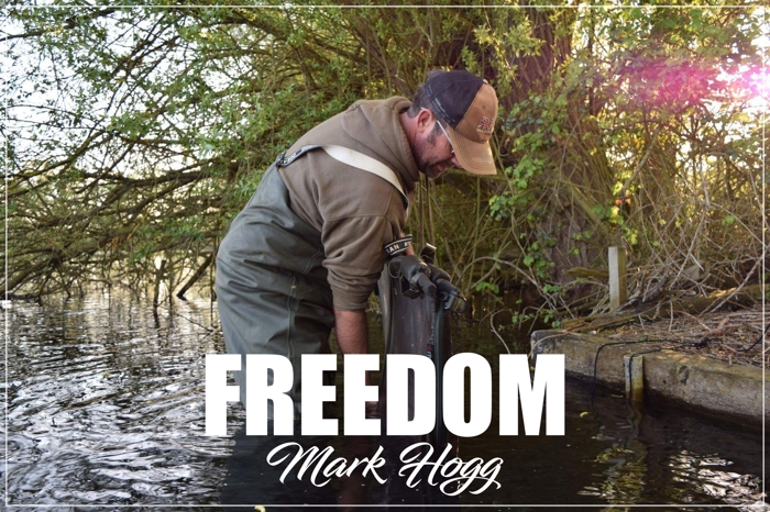 Freedom – Mark Hogg