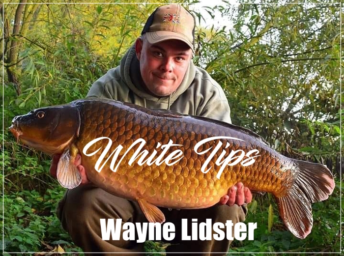 White Tips 2015 – Wayne Lidster