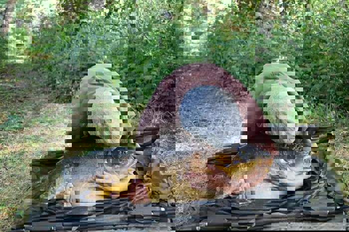 The Ancient Pit and the Pesky Rudd – Mark Baxter