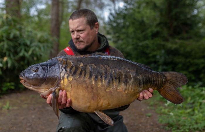 A New Beginning – Justin Ford