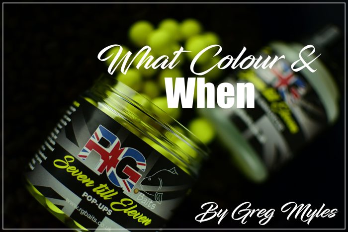 What coloured hook bait would you use at certain times of the year?