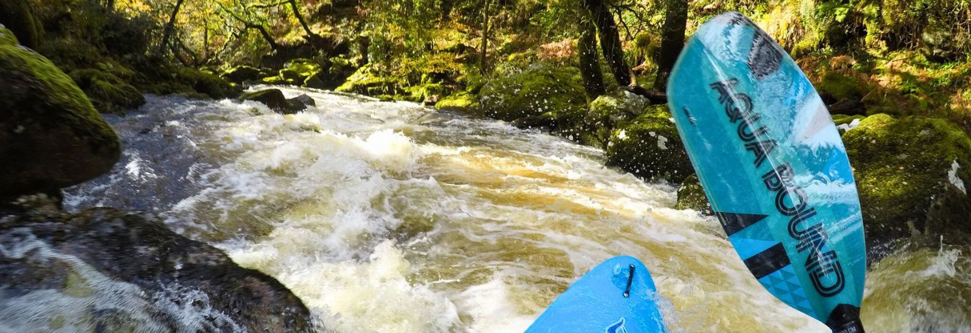 Whitewater Paddles