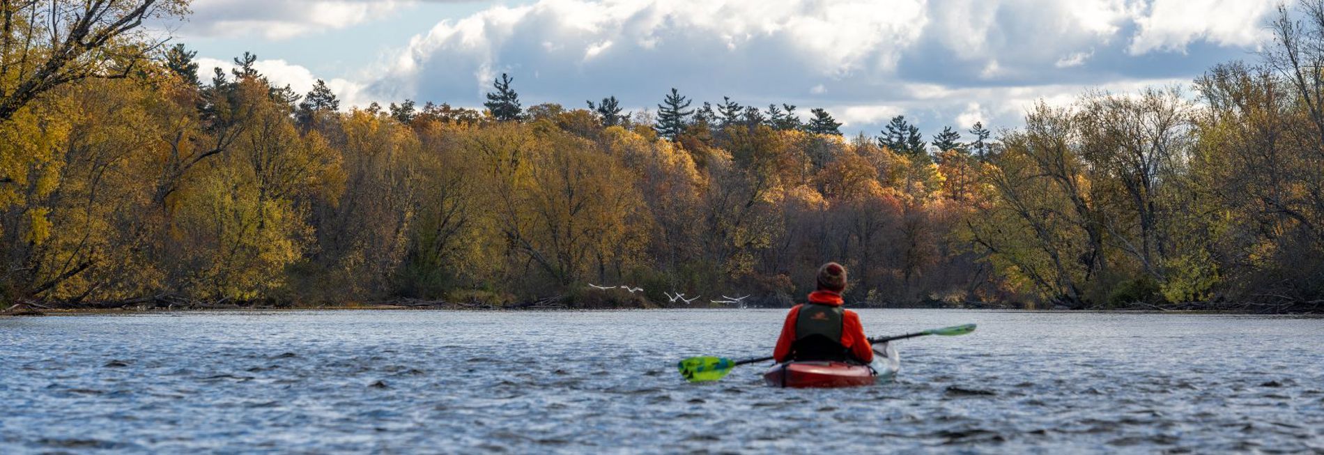 Touring and Sea Kayak Paddles