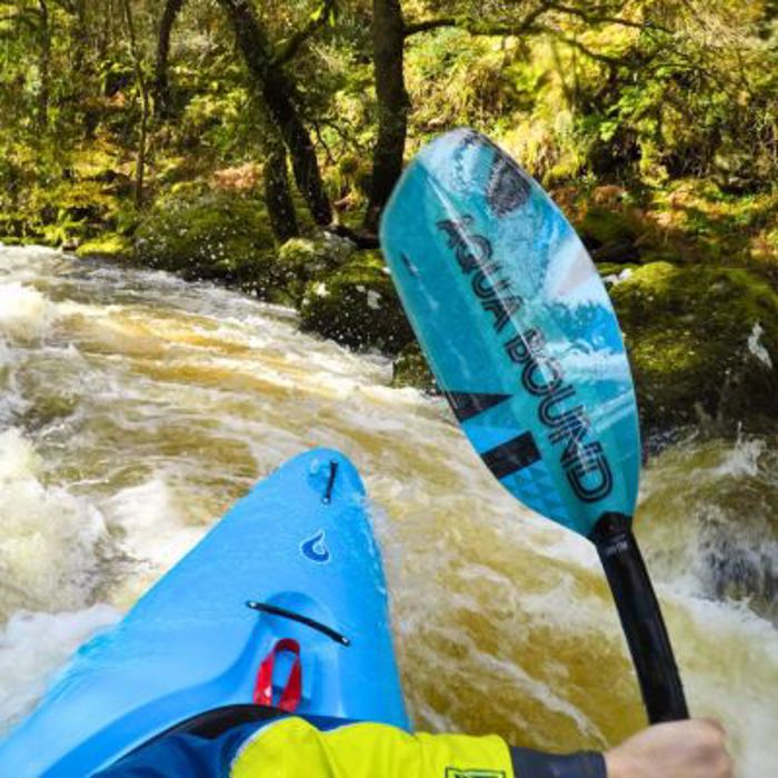 Whitewater Paddles
