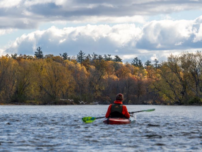 Touring and Sea Kayak Paddles