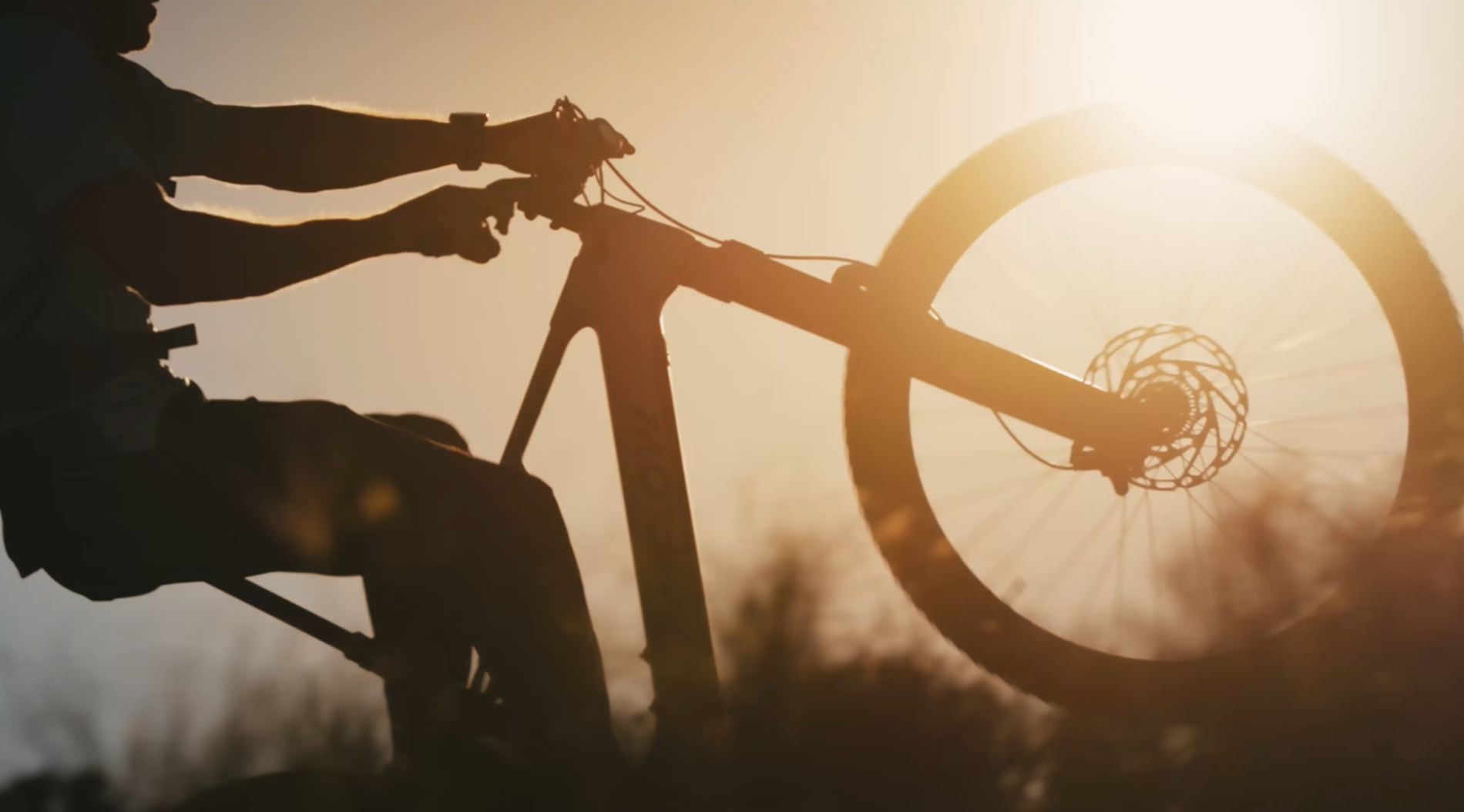 Shop now for Amflow Bikes