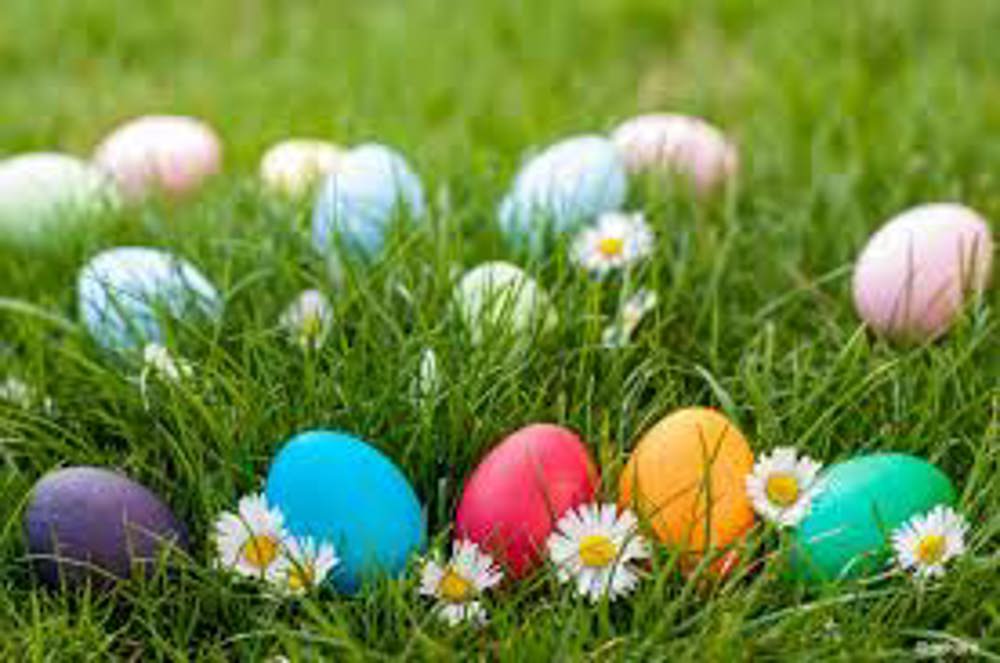 Easter Egg Hunt (time slots through Easter Saturday)