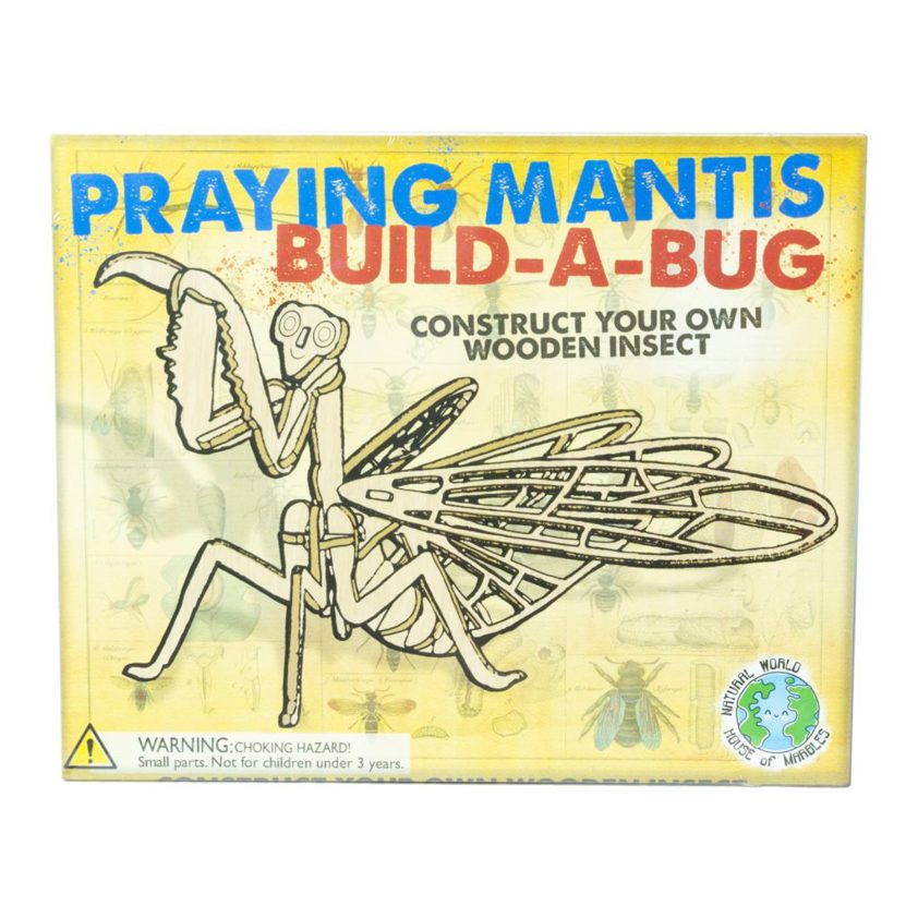 Wooden Insect Construction Kit - Choose from a selection