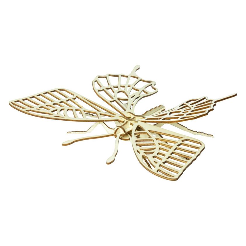 Wooden Insect Construction Kit - Choose from a selection