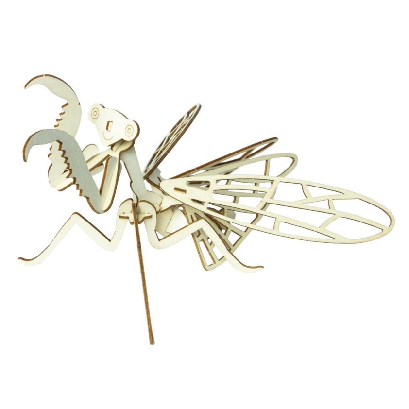 Wooden Insect Construction Kit - Choose from a selection