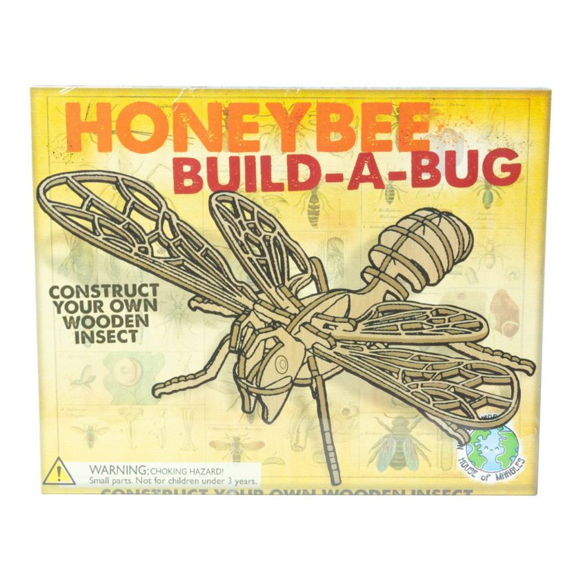 Wooden Insect Construction Kit - Choose from a selection