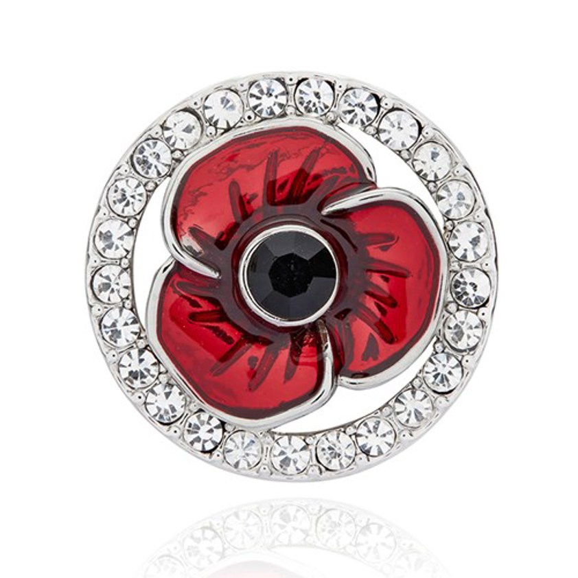 Framed Poppy Pin Brooch
