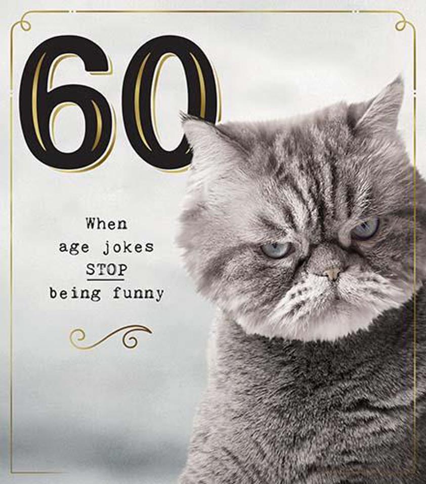 60 Grumpy Cat Age Jokes