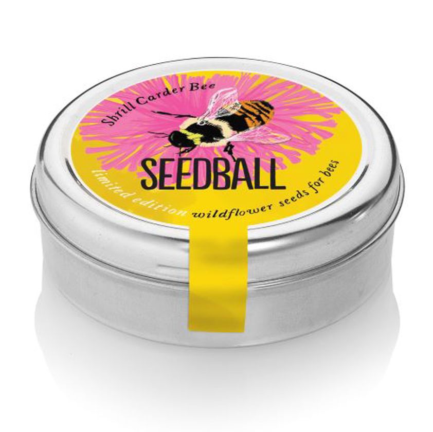 Shrill Carder Bee Mix Seedball