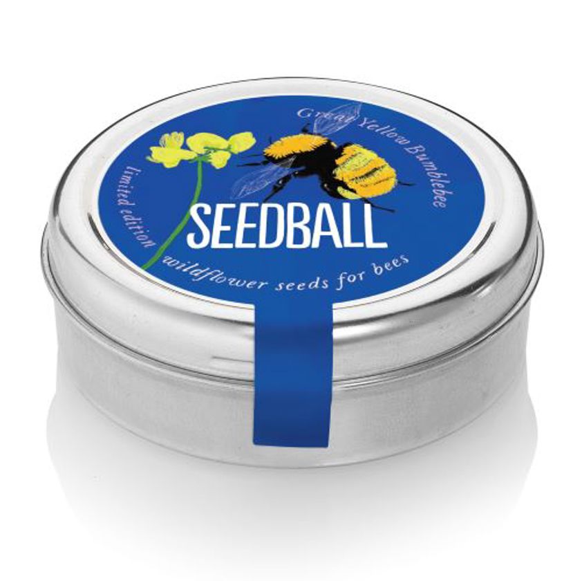 Great Yellow Bee Mix Seedball