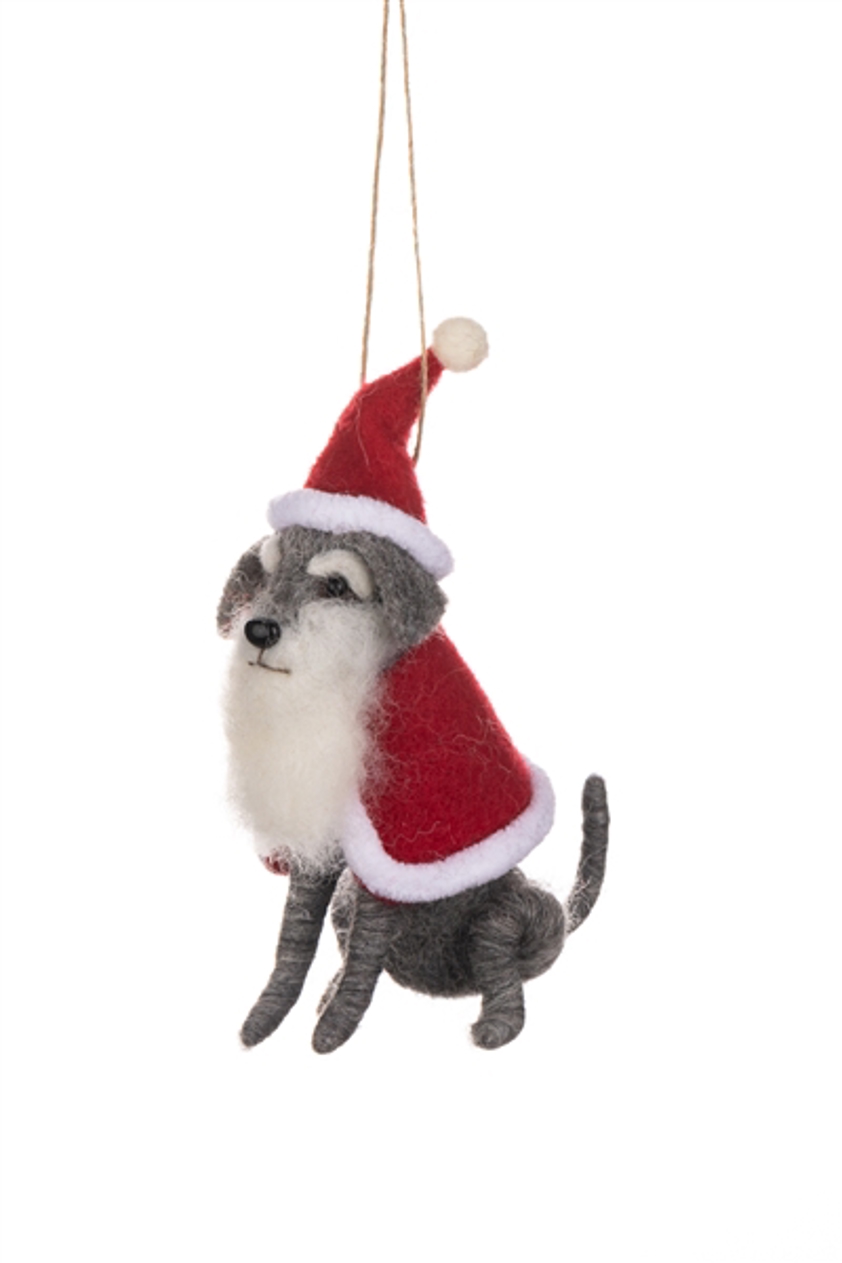 Grey dog dressing as Santa