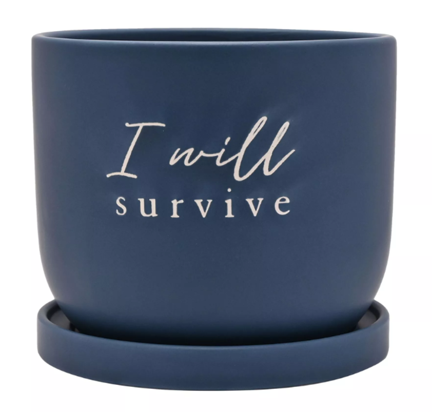 Country Living Ceramic Plant Pot - "I Will Survive"