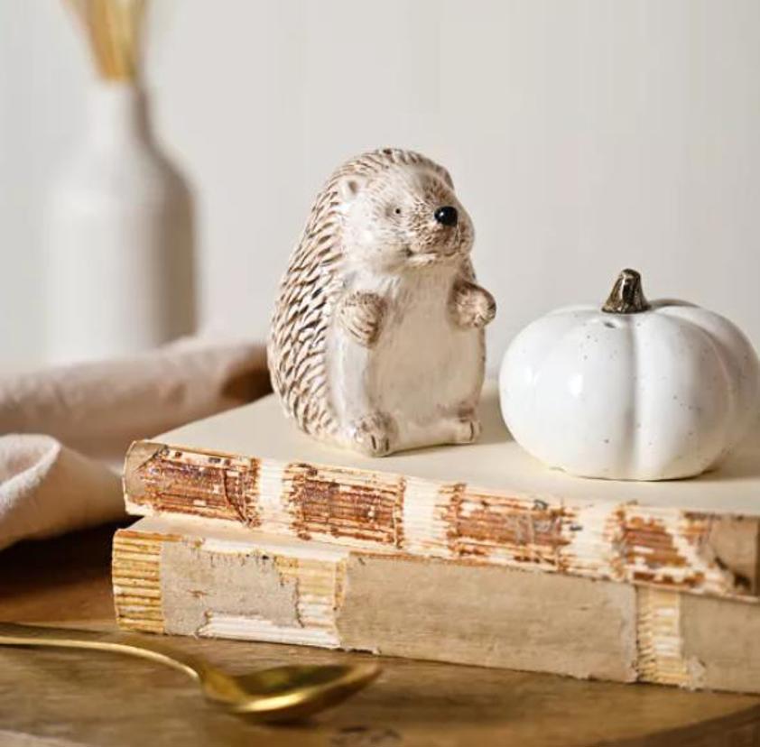 Country Living Hedgehog Salt & Pepper Set