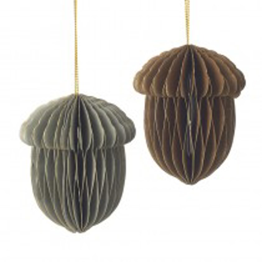 Fold Out Paper Hanging Acorn