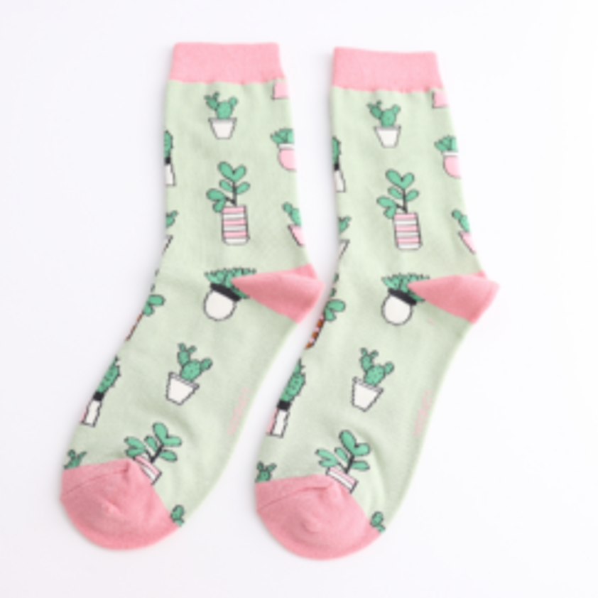Small Succulents Socks Mint