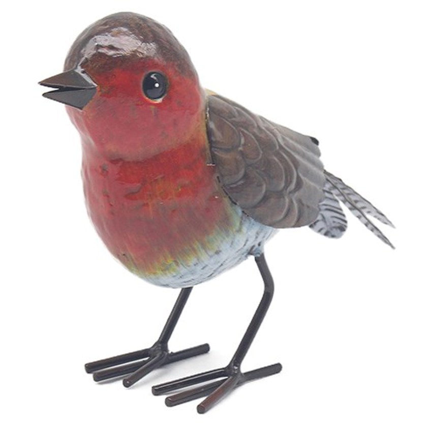 Bright Eyes Garden Birds Robin