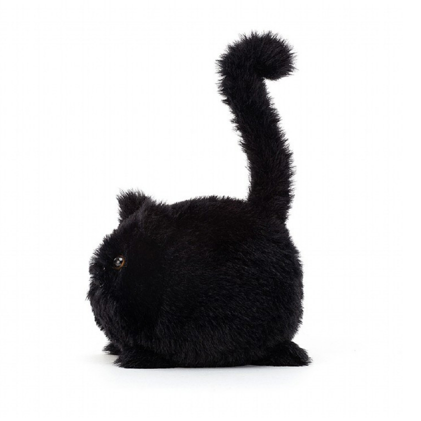 Black Kitten Caboodle