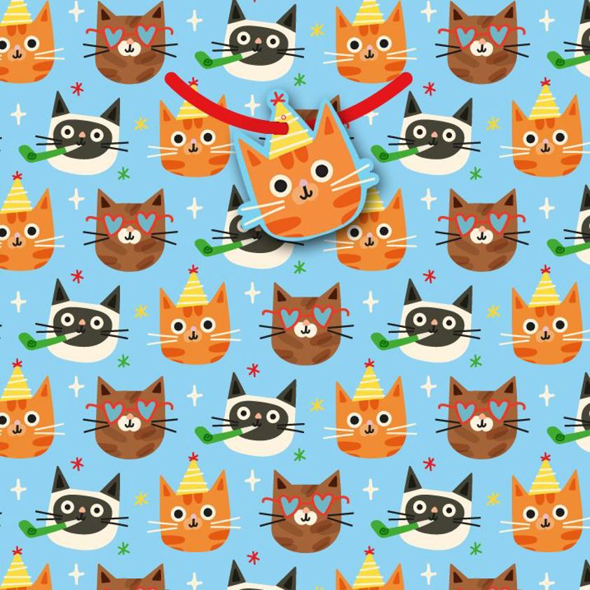 RT6080 - Party Cats Large Bag