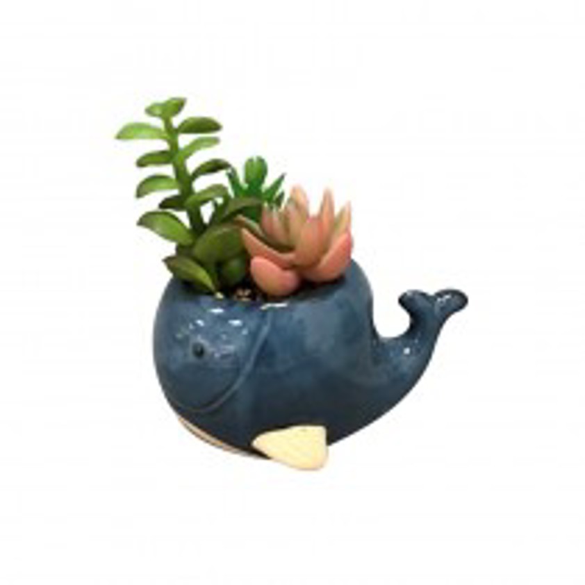 Whale Plant Pot (Plant Not Inc)