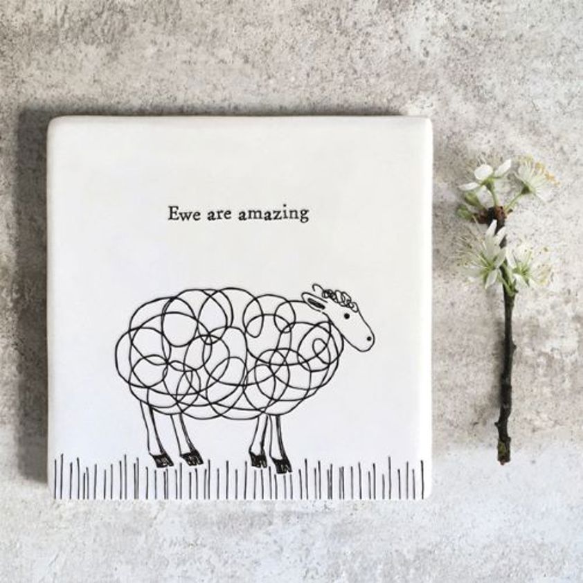 Square porcelain coaster sheep ewe amazing