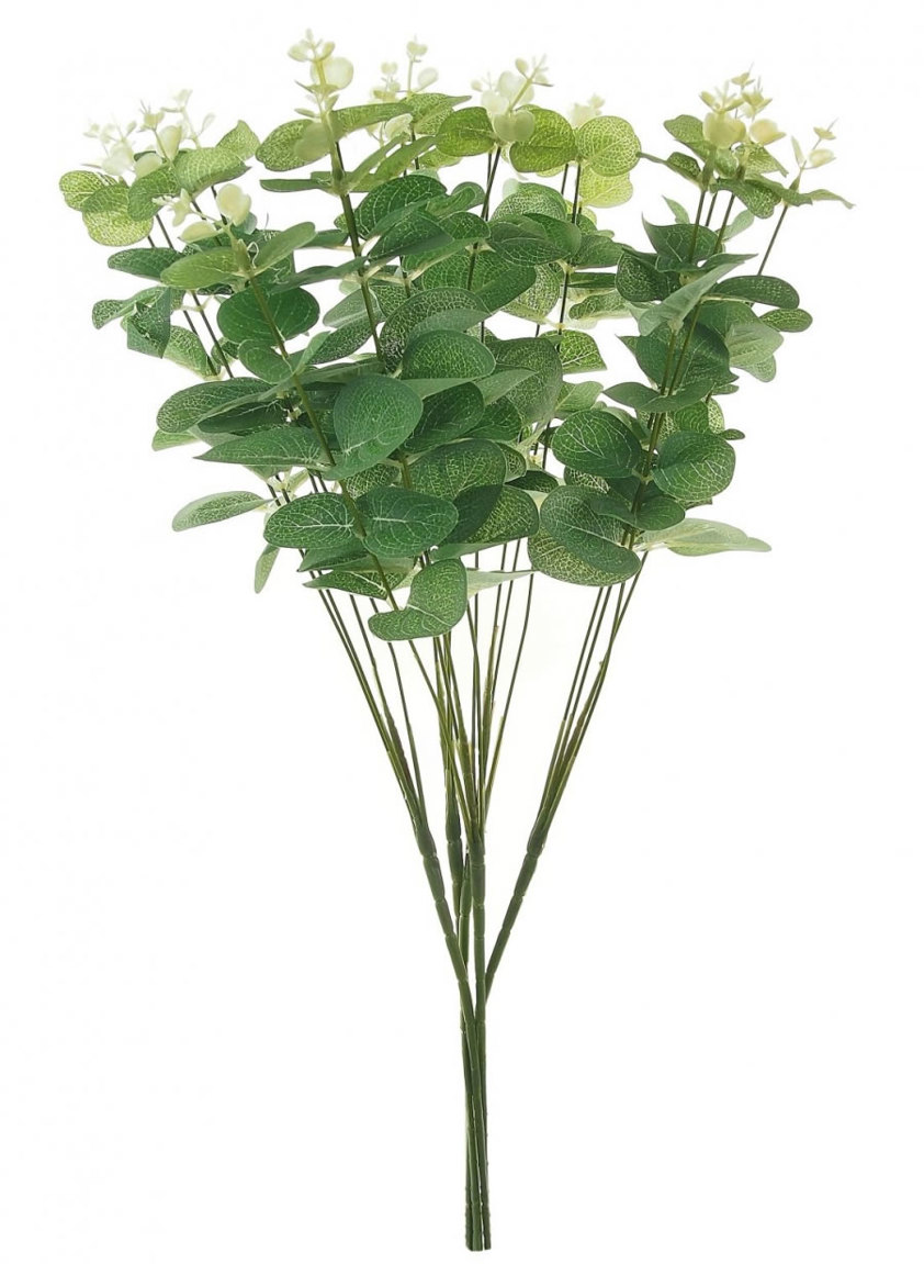 Long Stem Eucalyptus Branch - not online individ brch