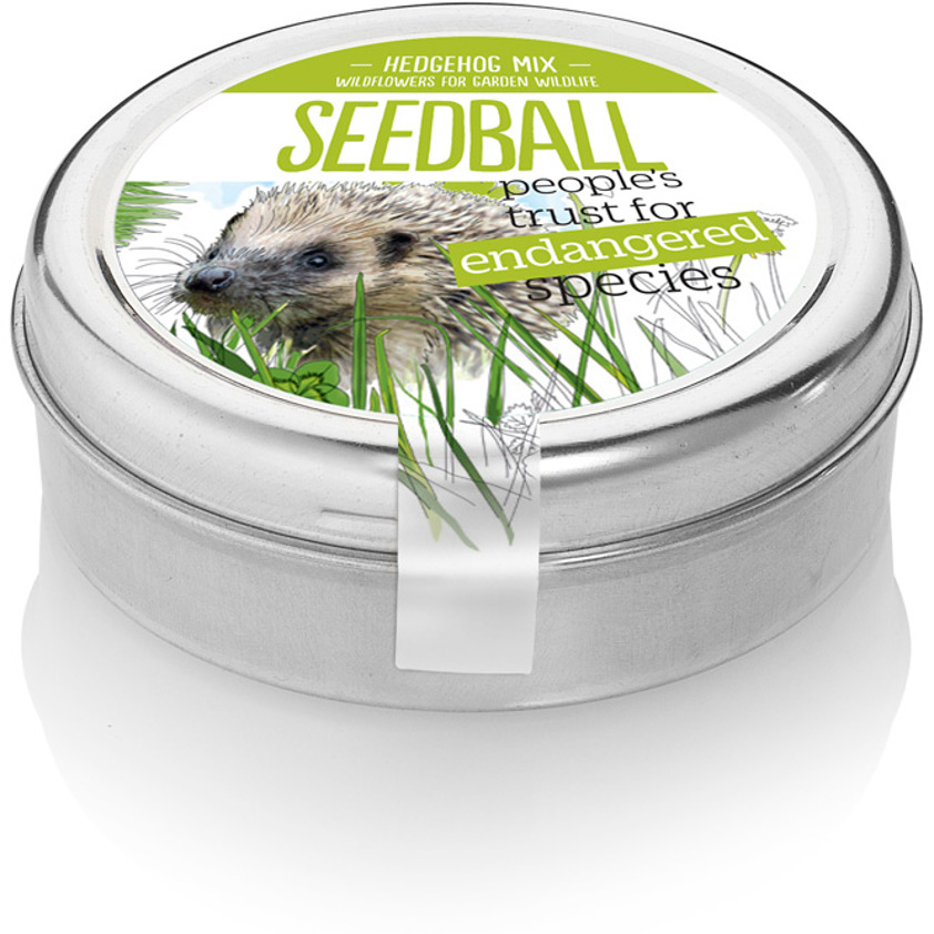 Hedgehog Seedball