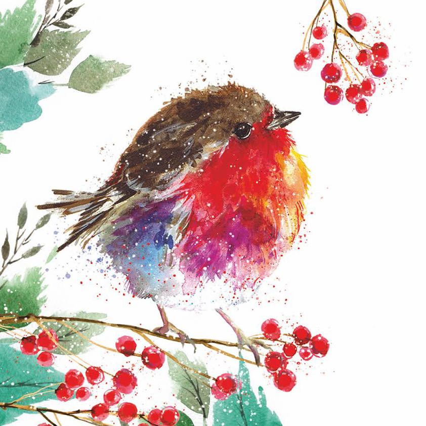 The Leprosy Mission - Joyful Robin Cards - Pack of 10