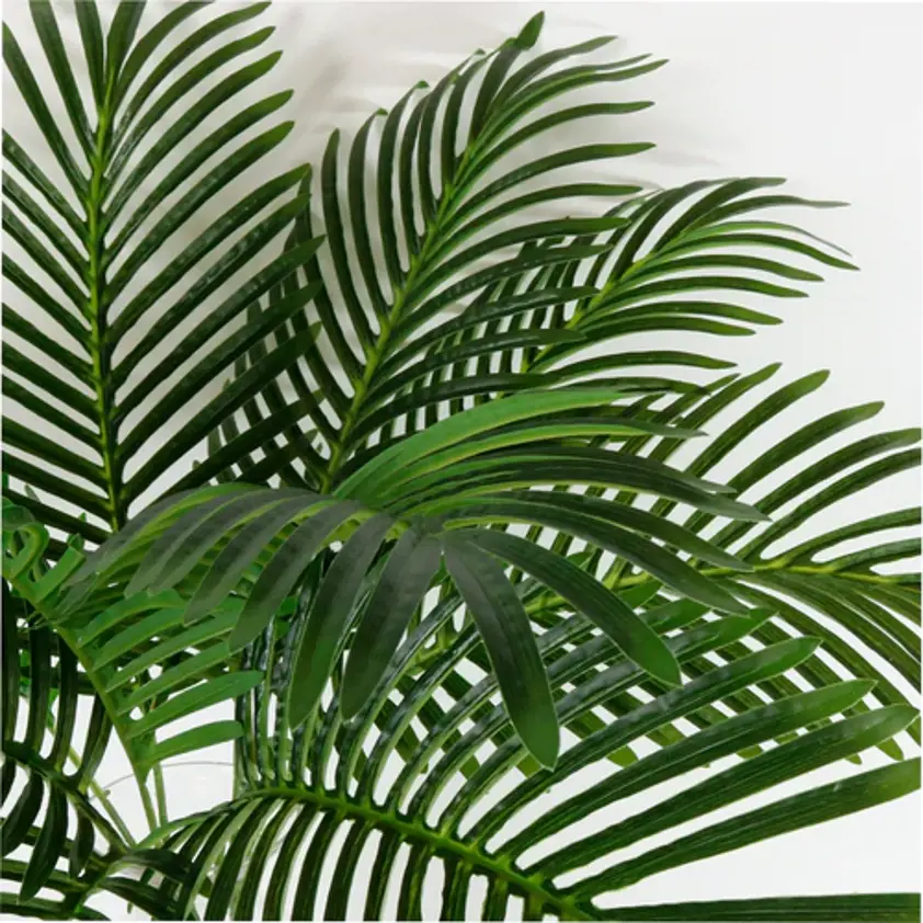 Tropical Fern Leaf 75Cm Natural Green
