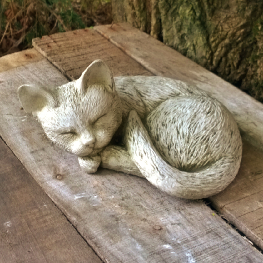 Small Cat A