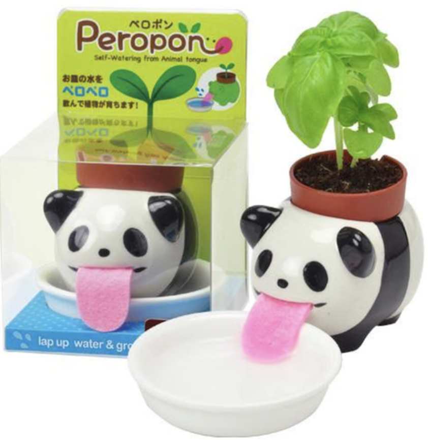 Panda Licking Animal Plant Kit