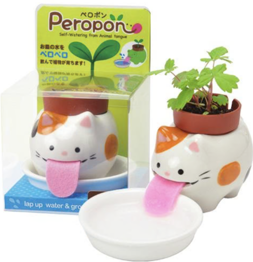 Cat Licking Animal Plant Kit