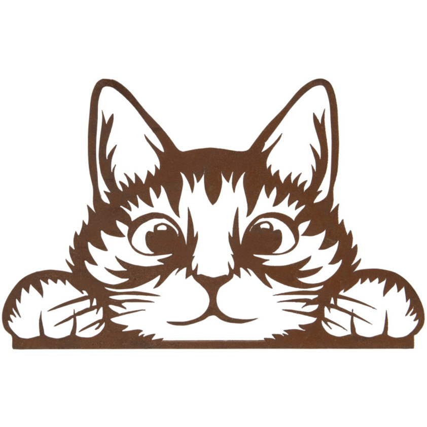 Peeking Cat A