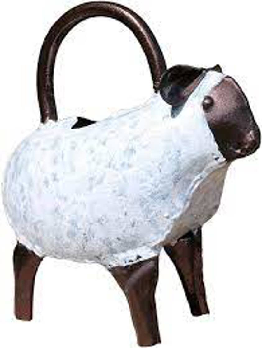 Lamb Watering Can