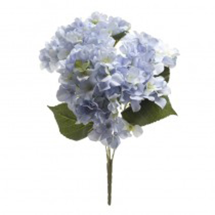 Blue Hydrangea Bunch